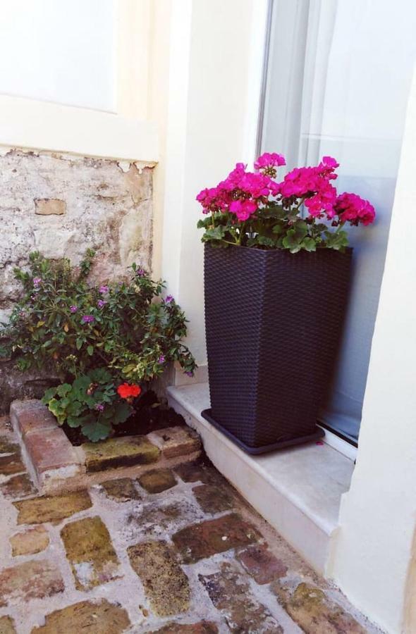 Anemomilos Jacuzzi Suite Corfu  Bagian luar foto